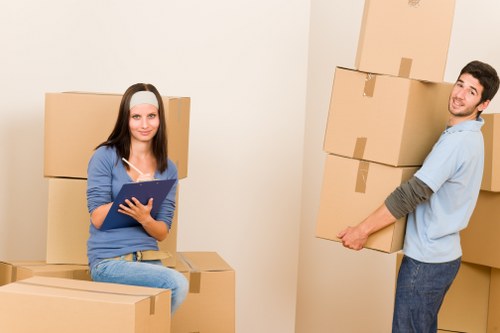 Secure packing and storage boxes for Westminster moving needs